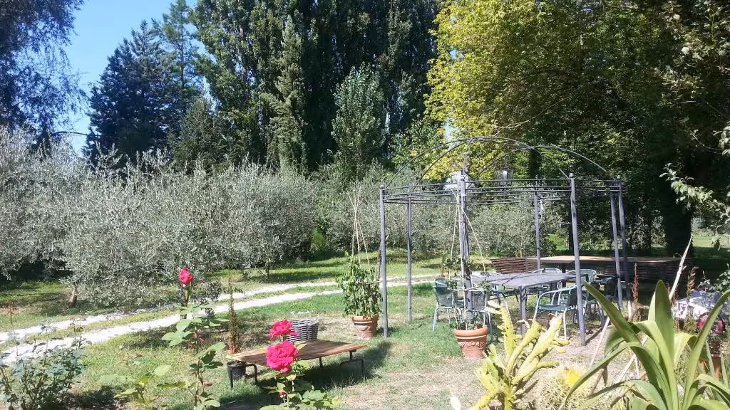 image url