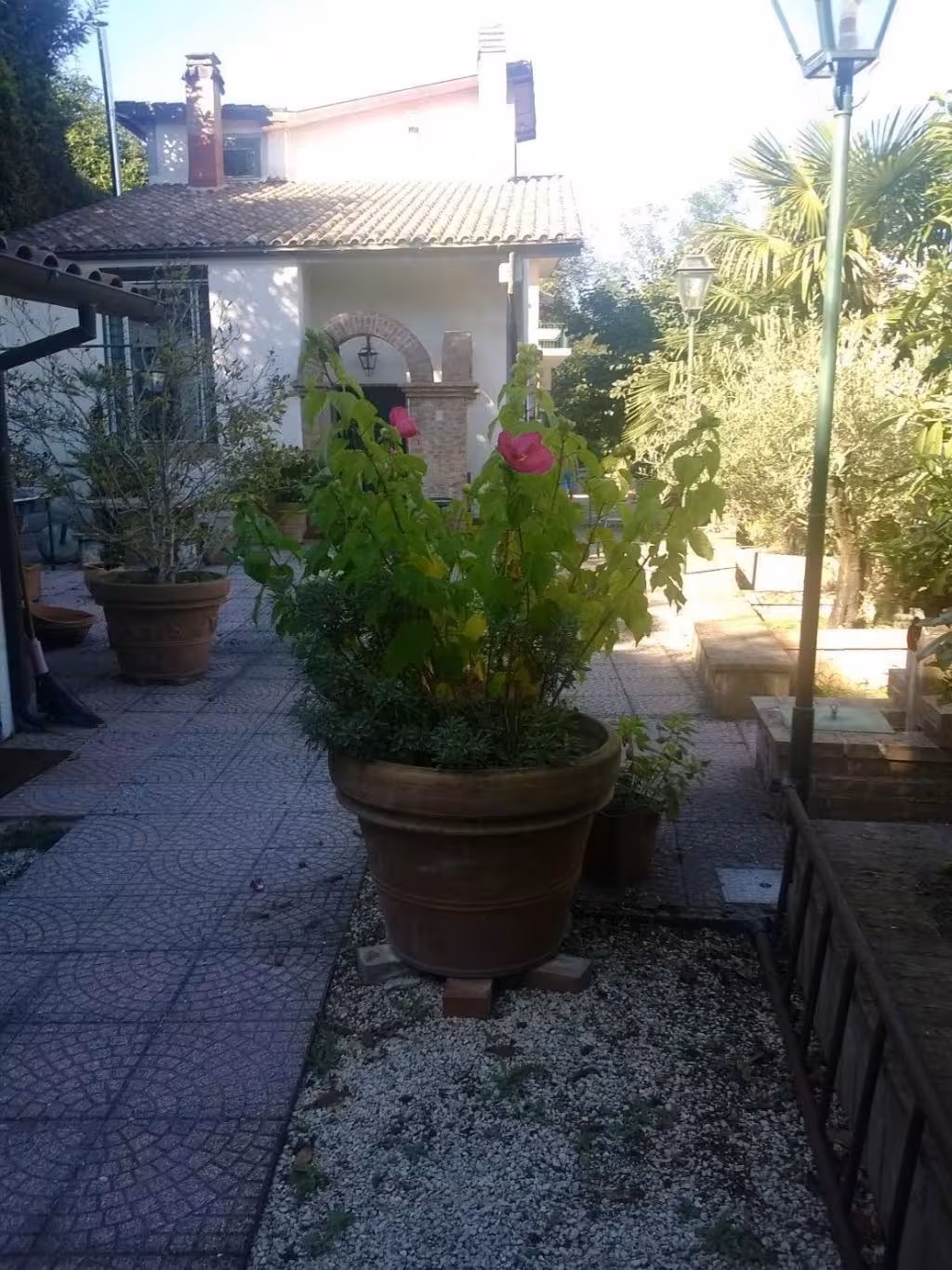 image url