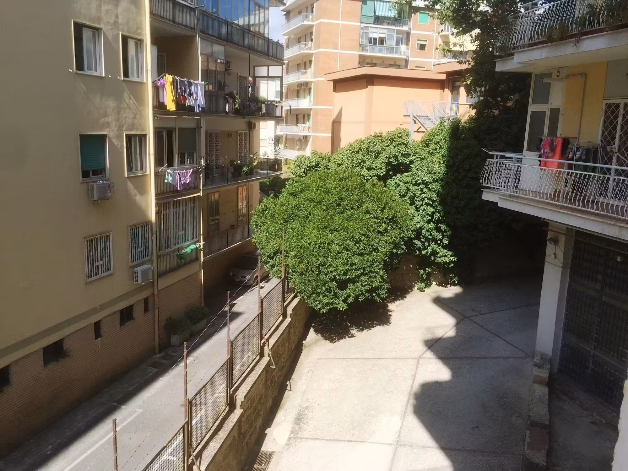 image url