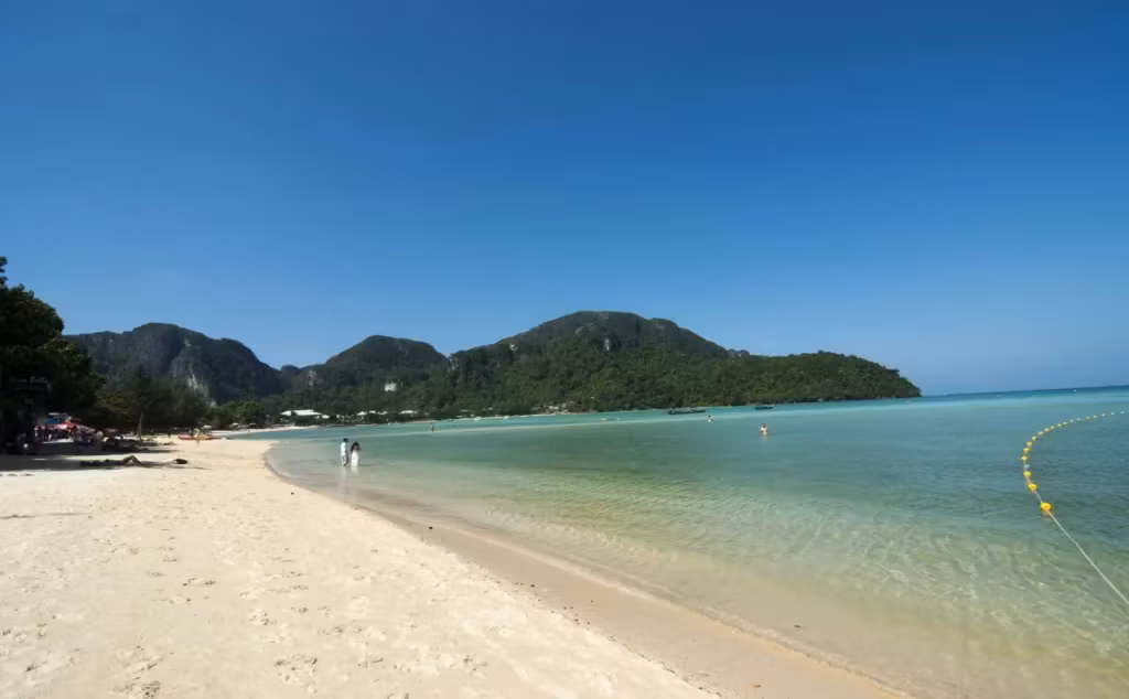 image url