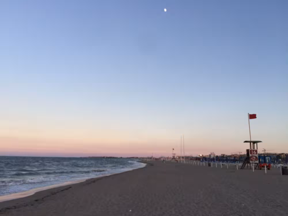 image url