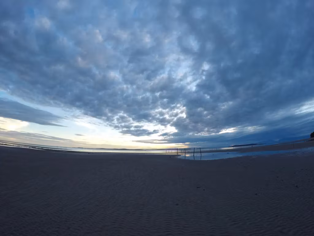 image url