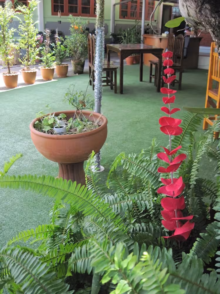 image url
