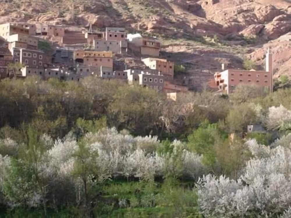 image url