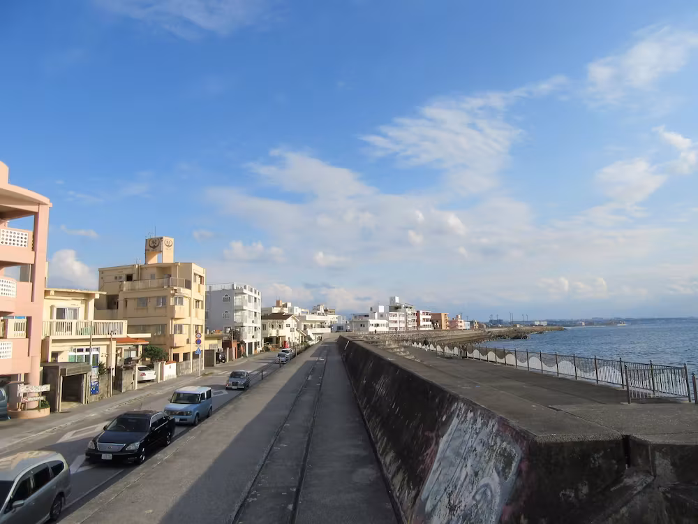 image url
