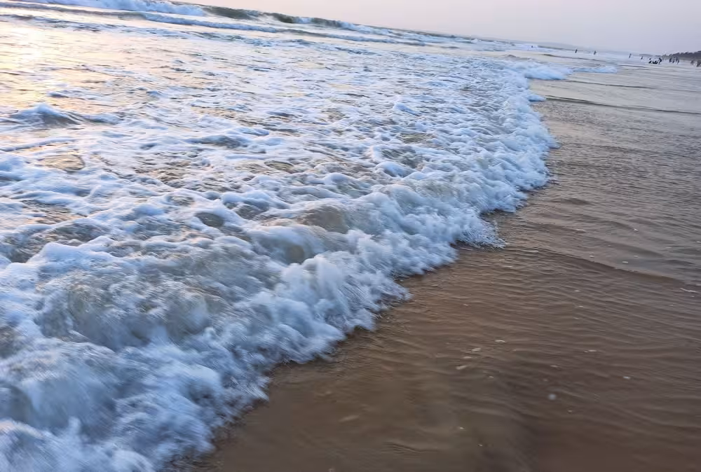 image url