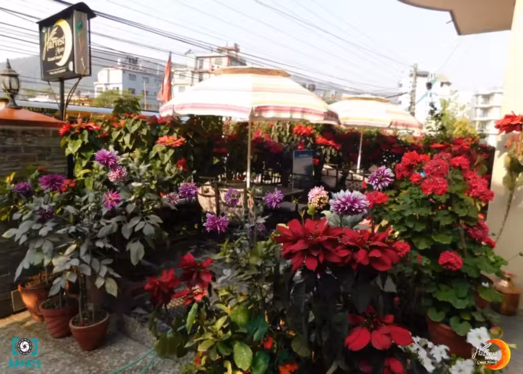 image url