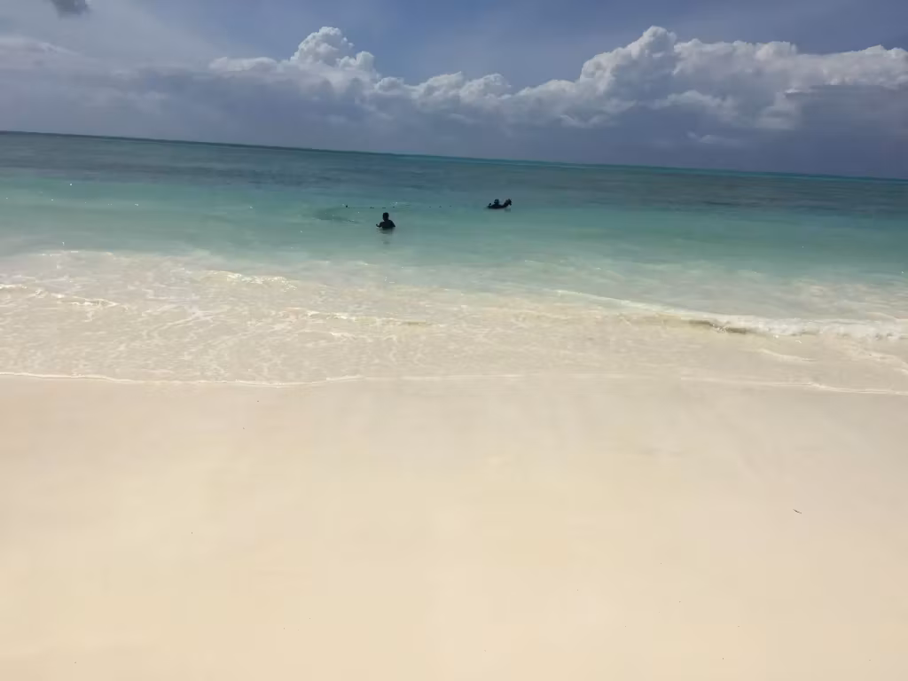 image url