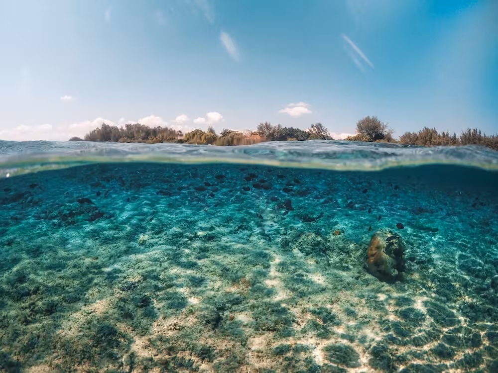 image url