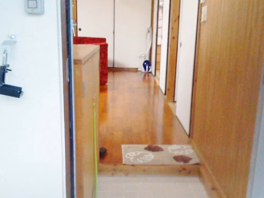 image url