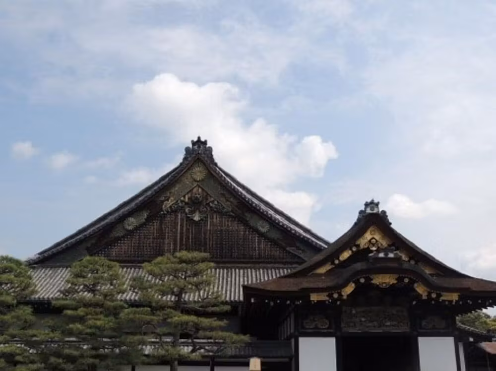 image url