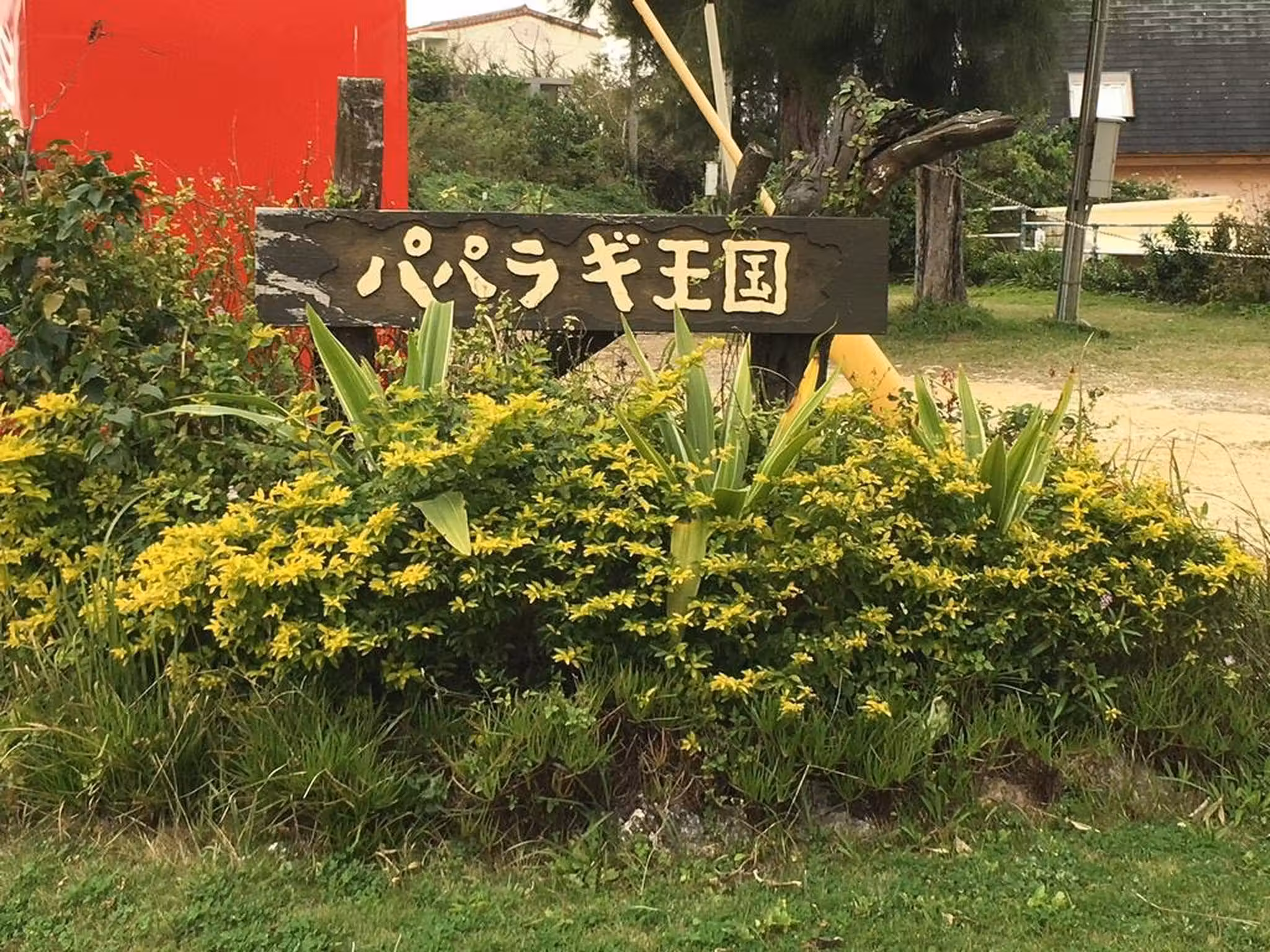 image url