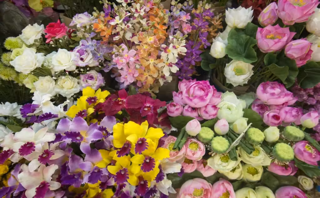 image url