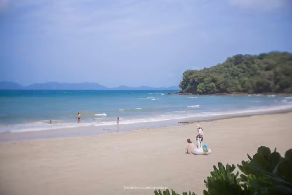 image url