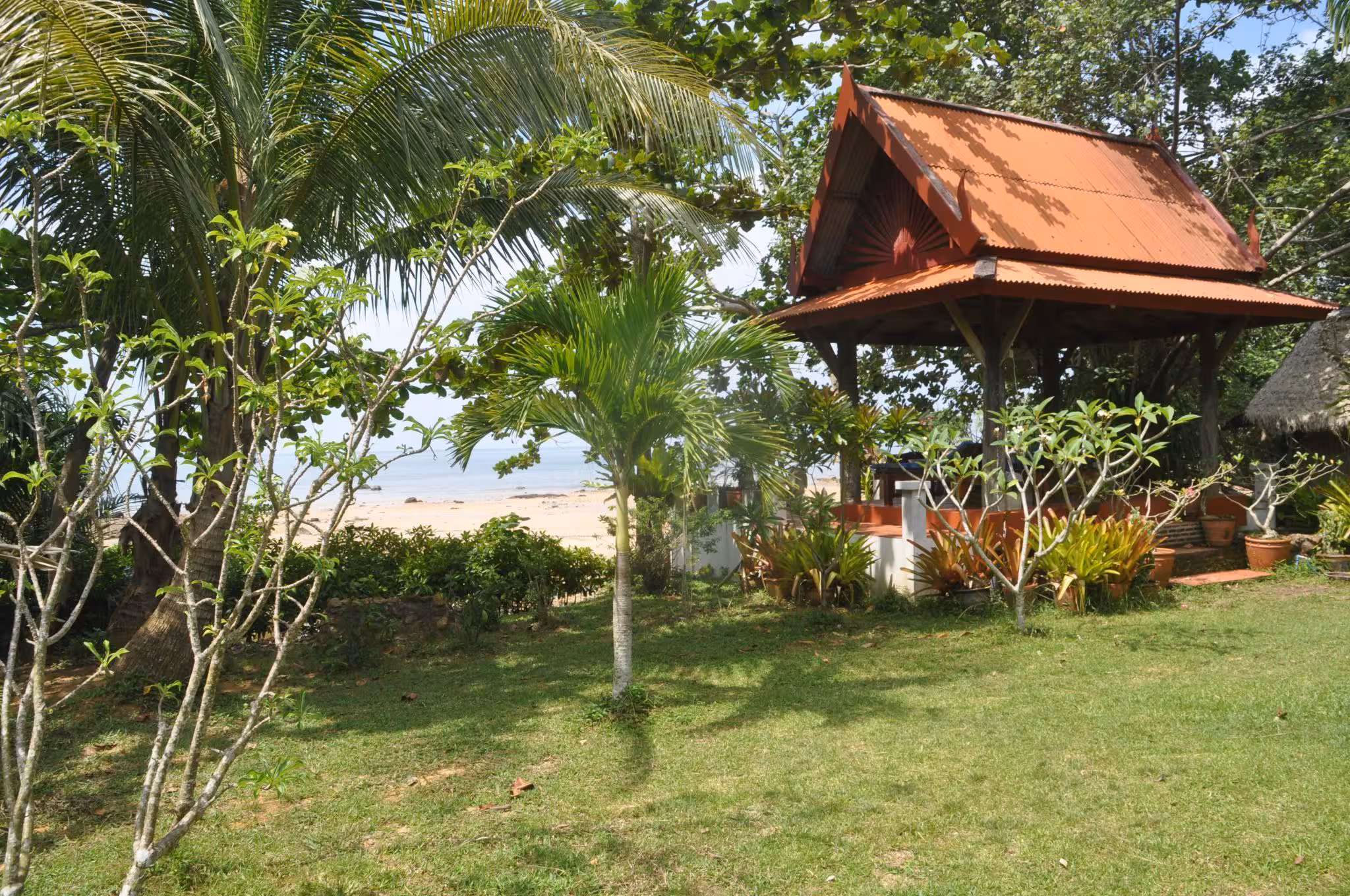 image url