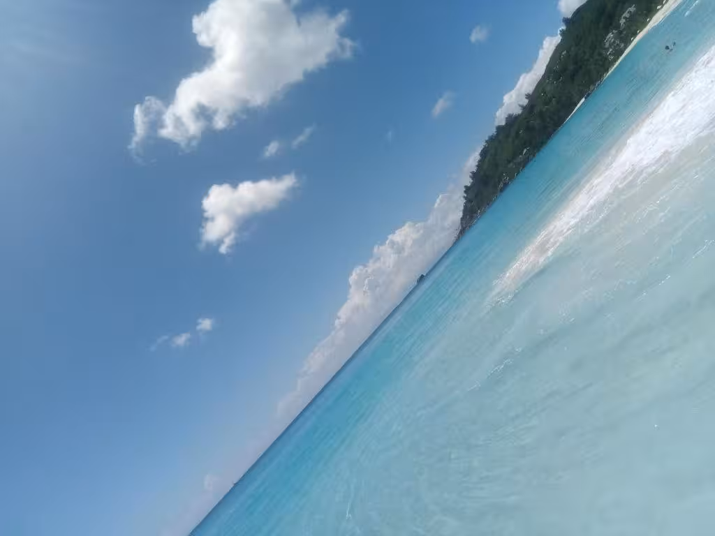 image url