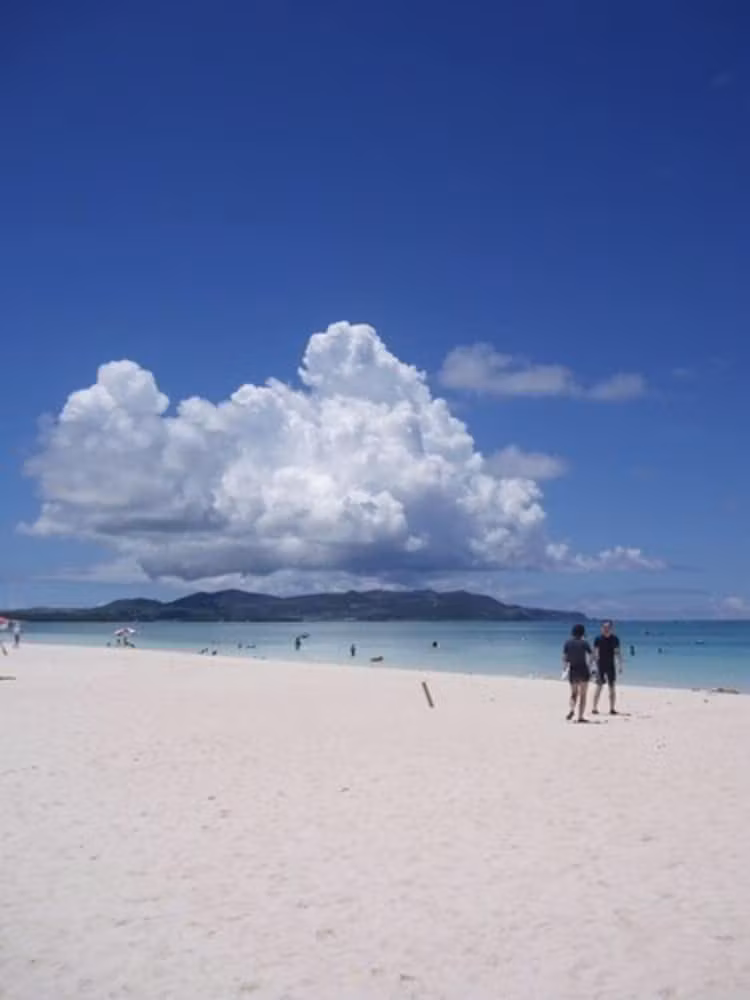 image url