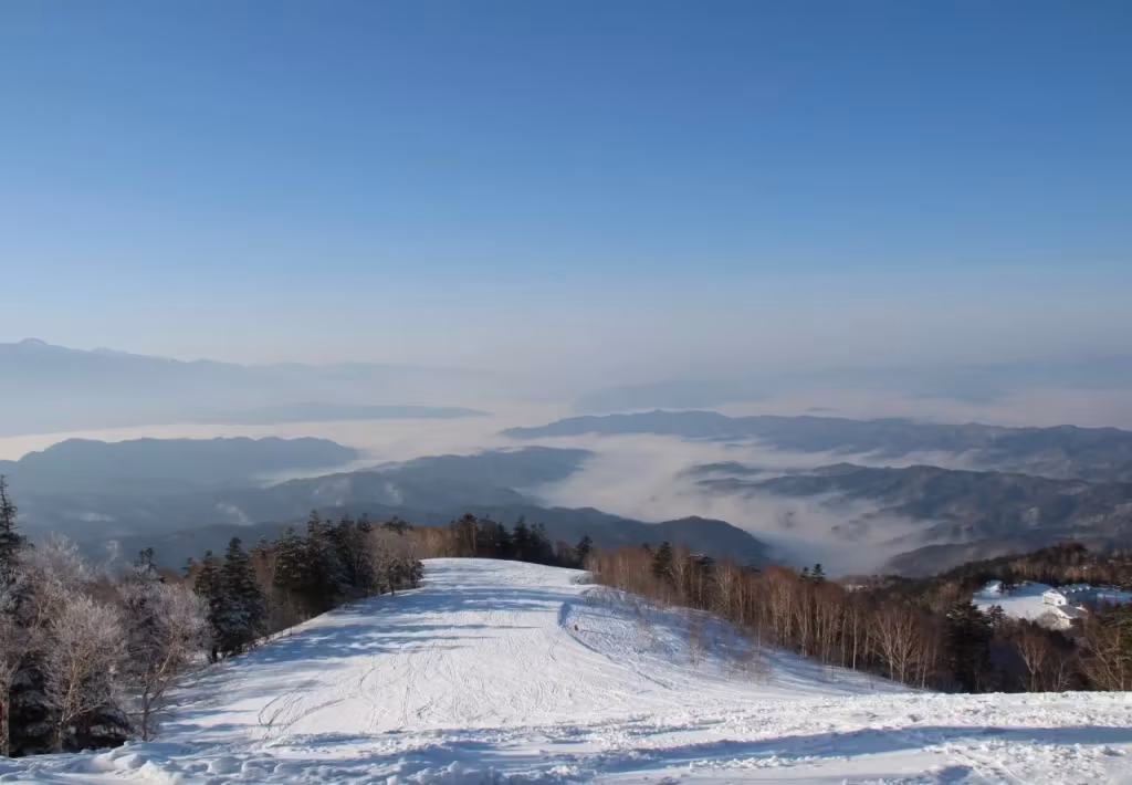 image url