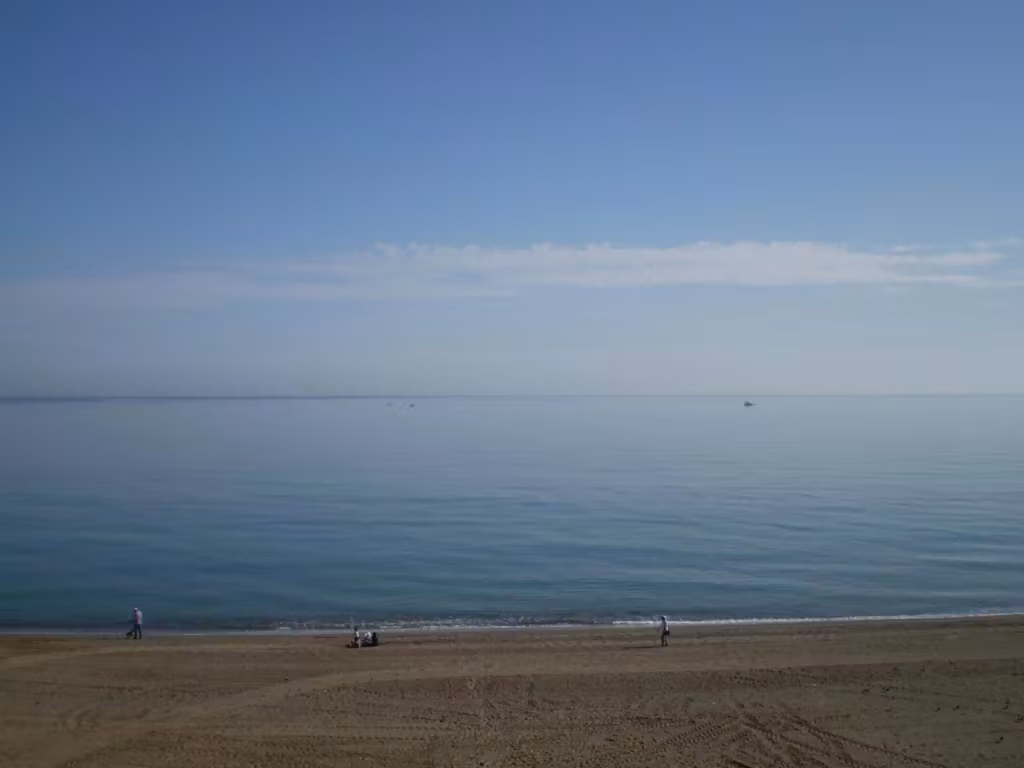 image url
