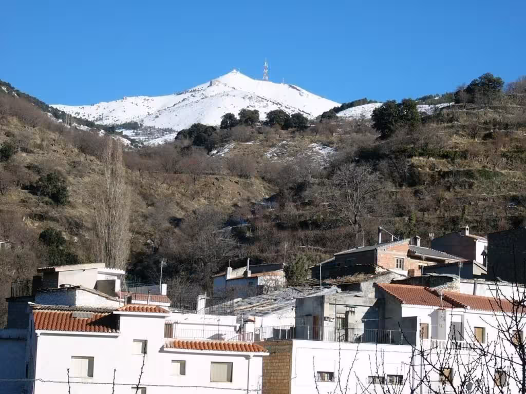 image url