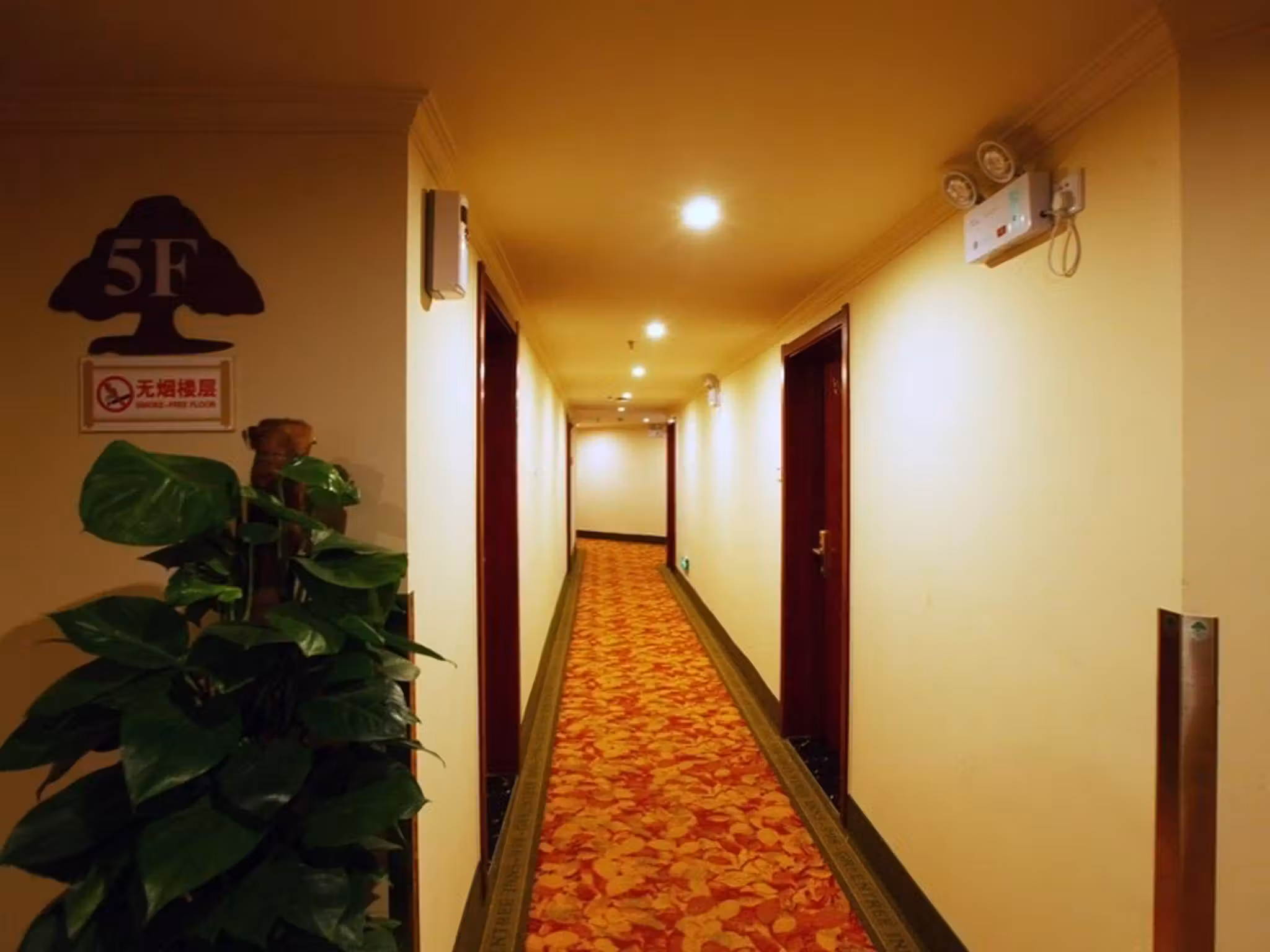 image url