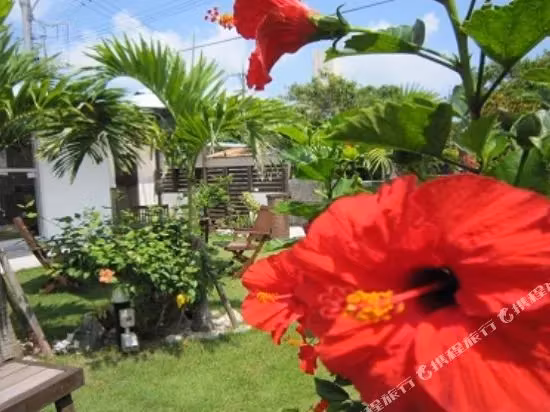 image url
