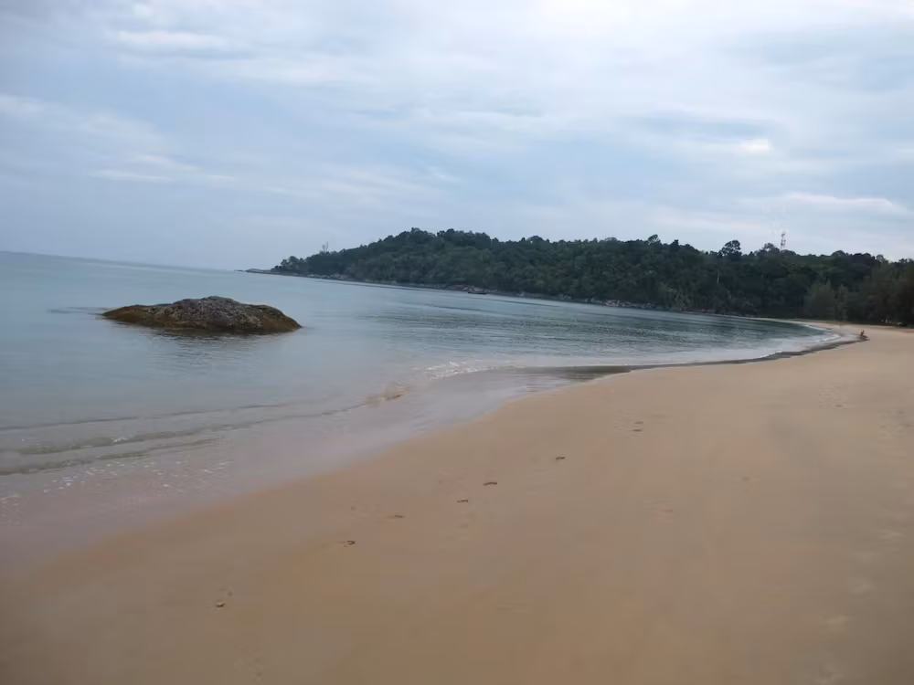 image url