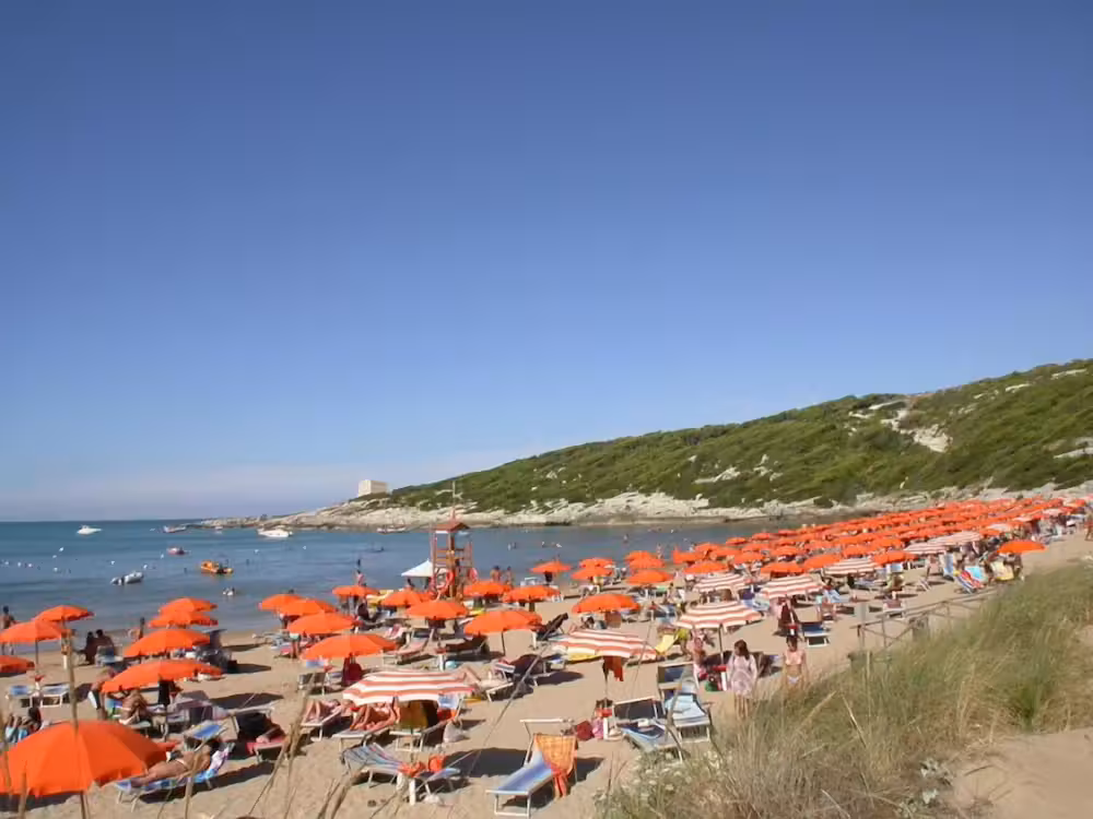 image url