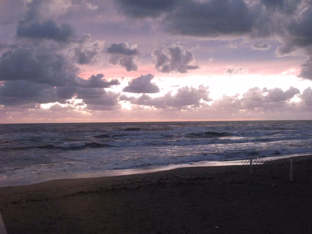 image url