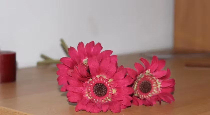 image url