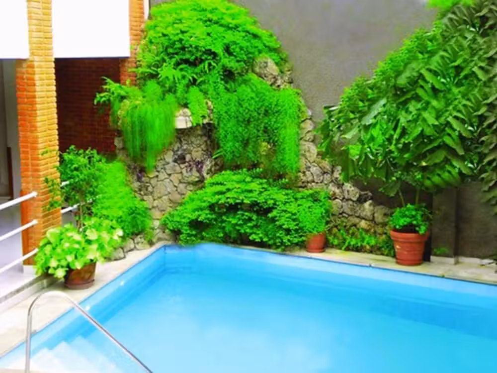 image url