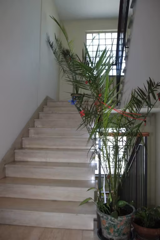 image url