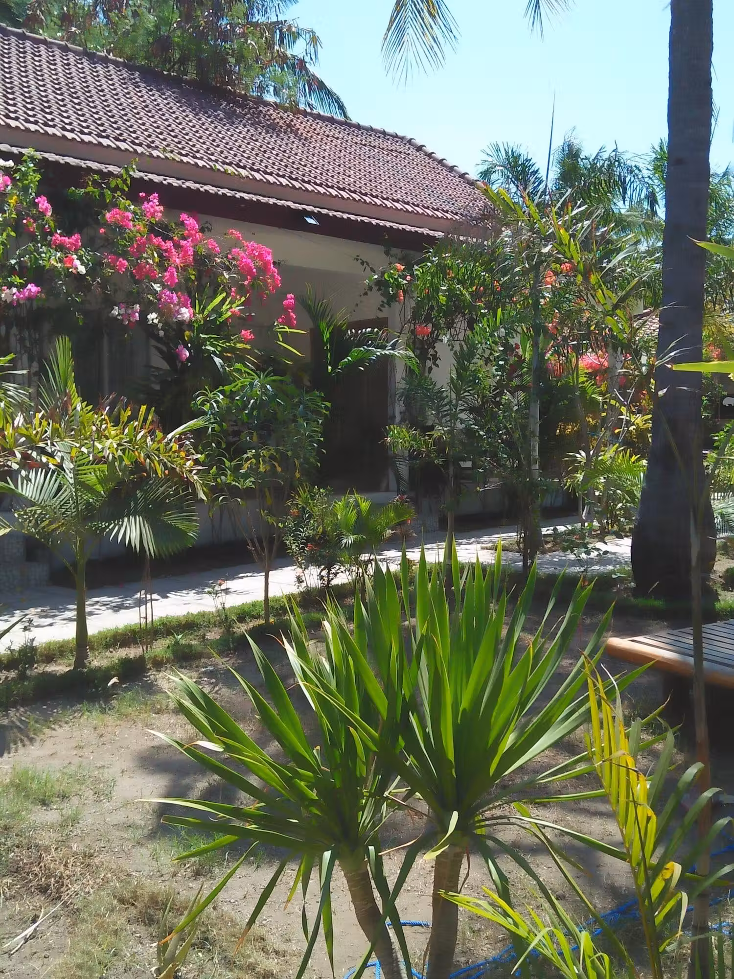 image url