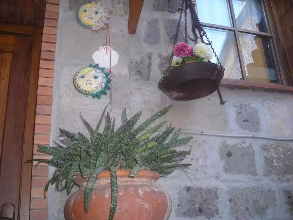 image url