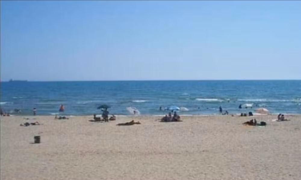 image url