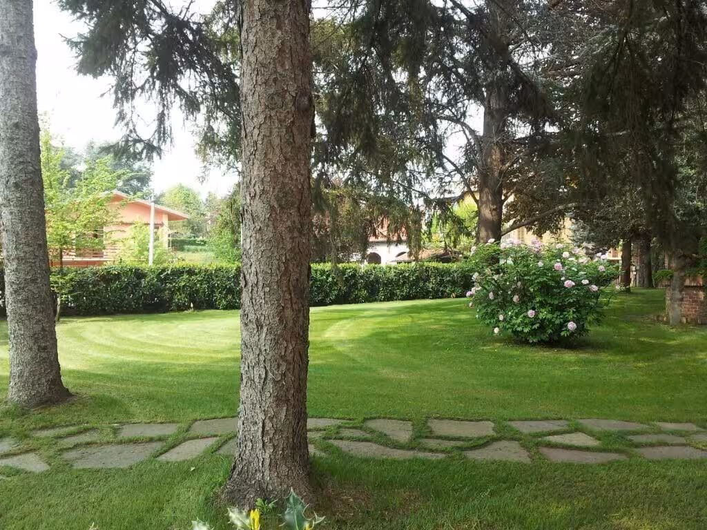 image url