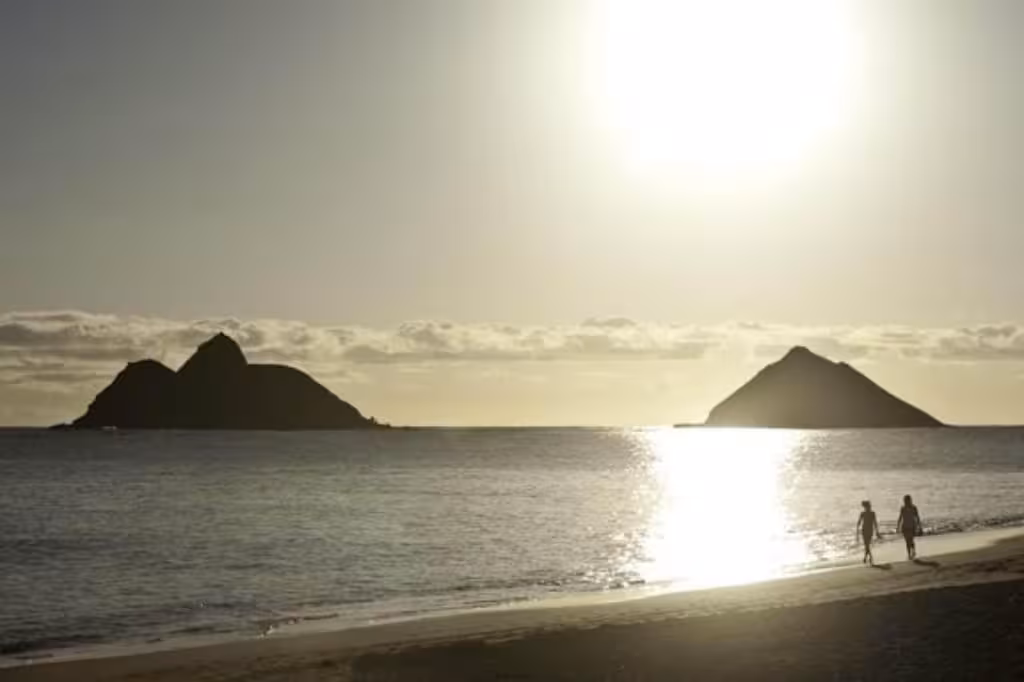 image url