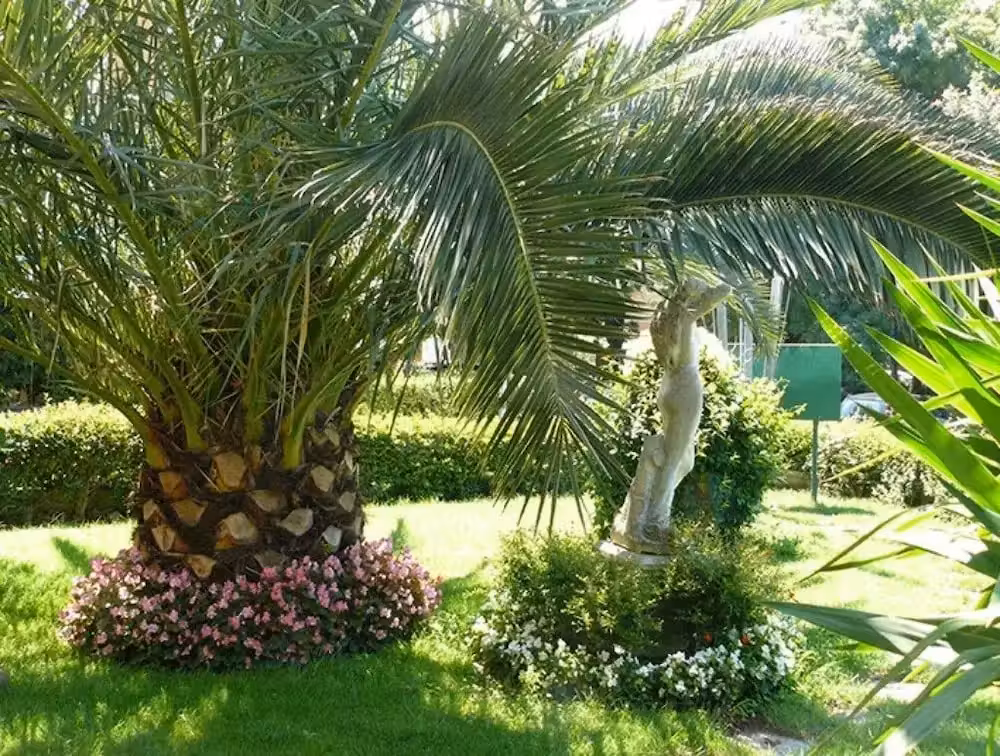 image url