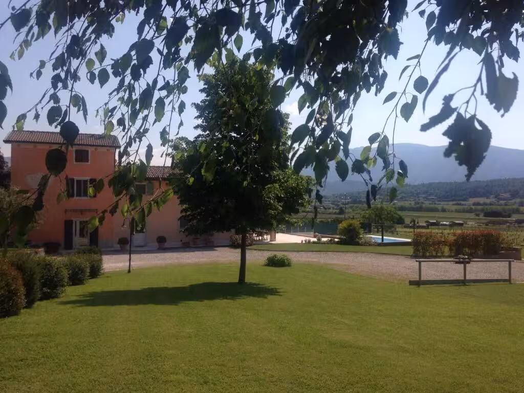 image url