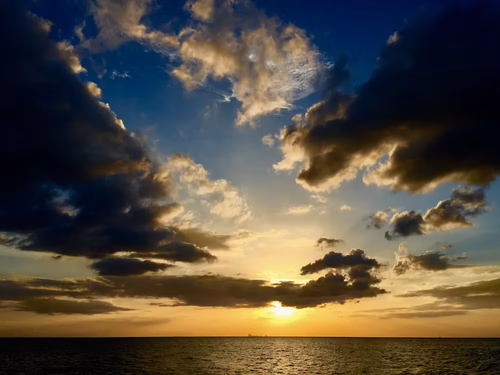 image url