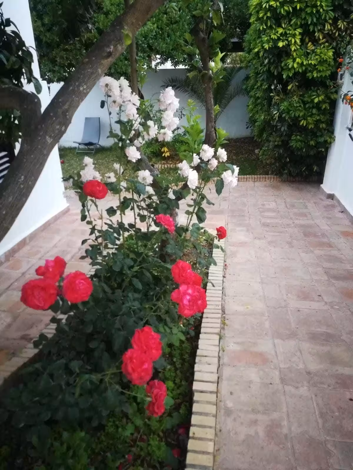 image url