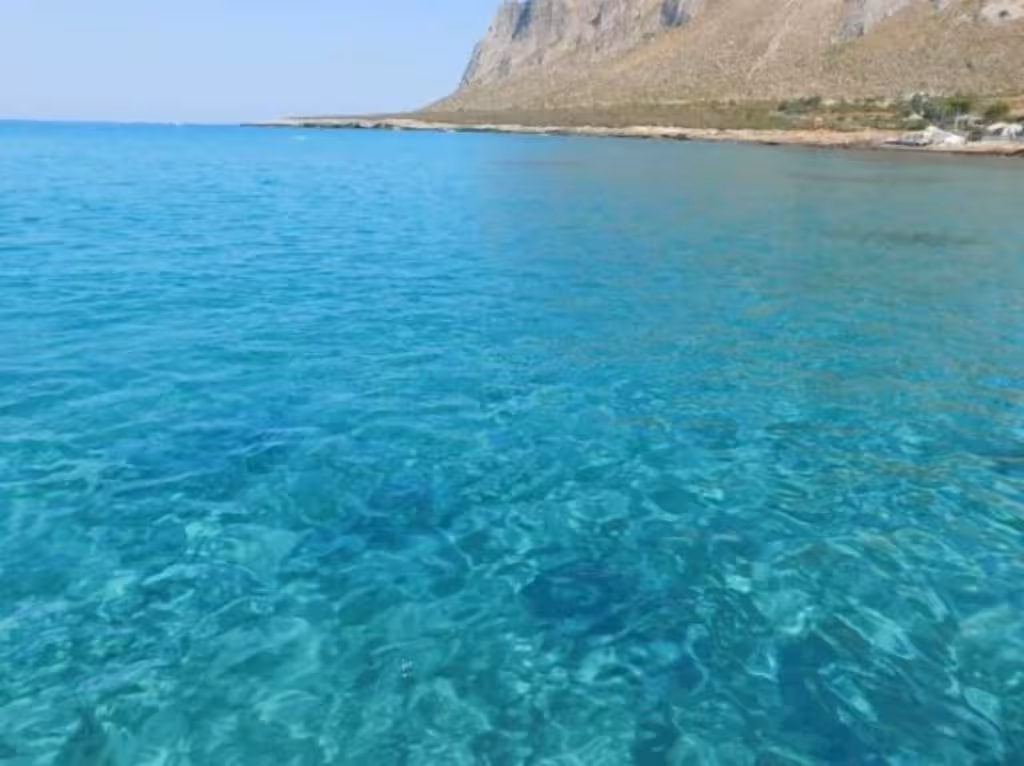 image url