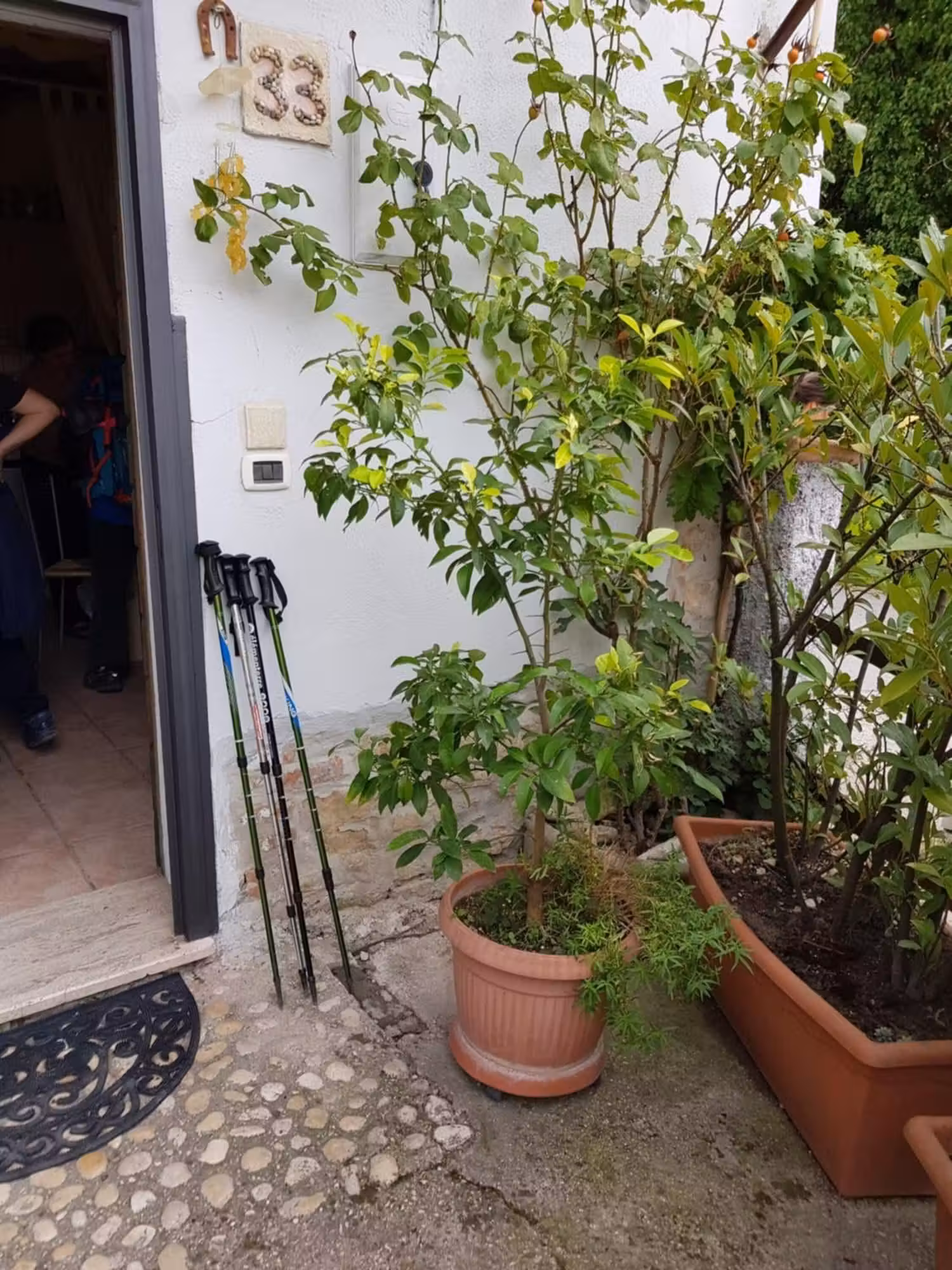 image url