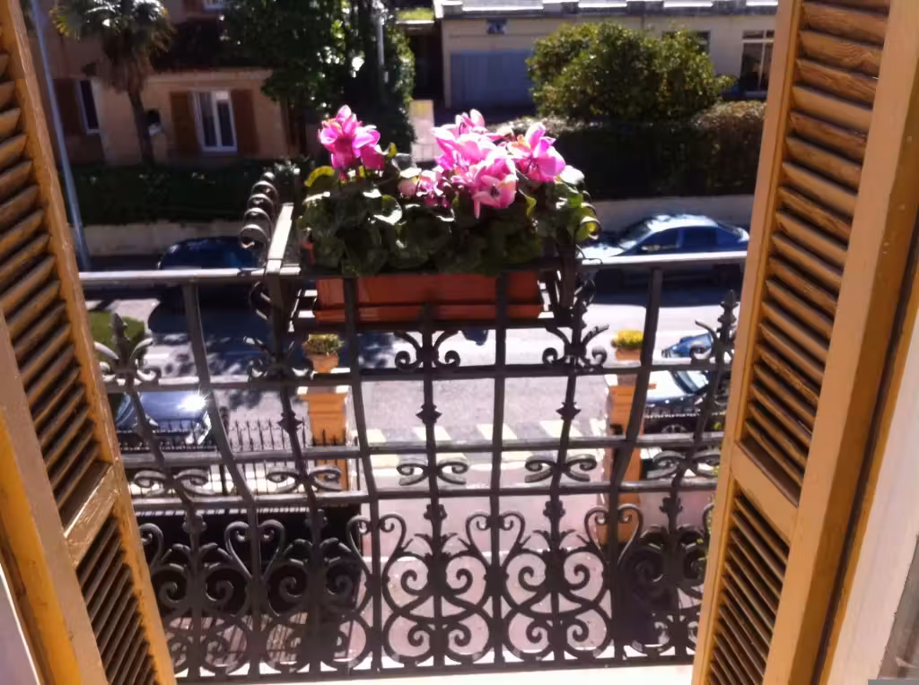 image url