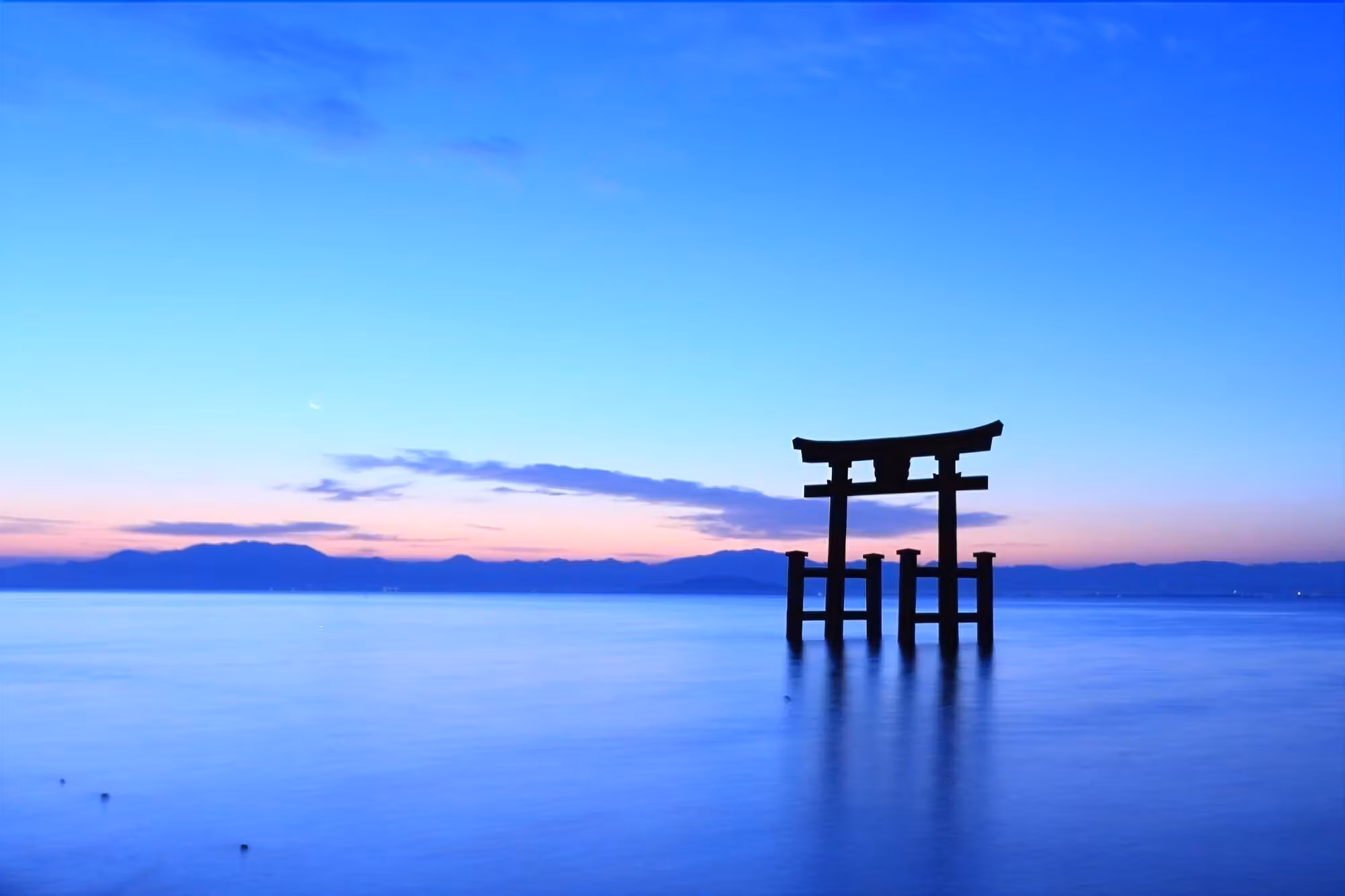 images