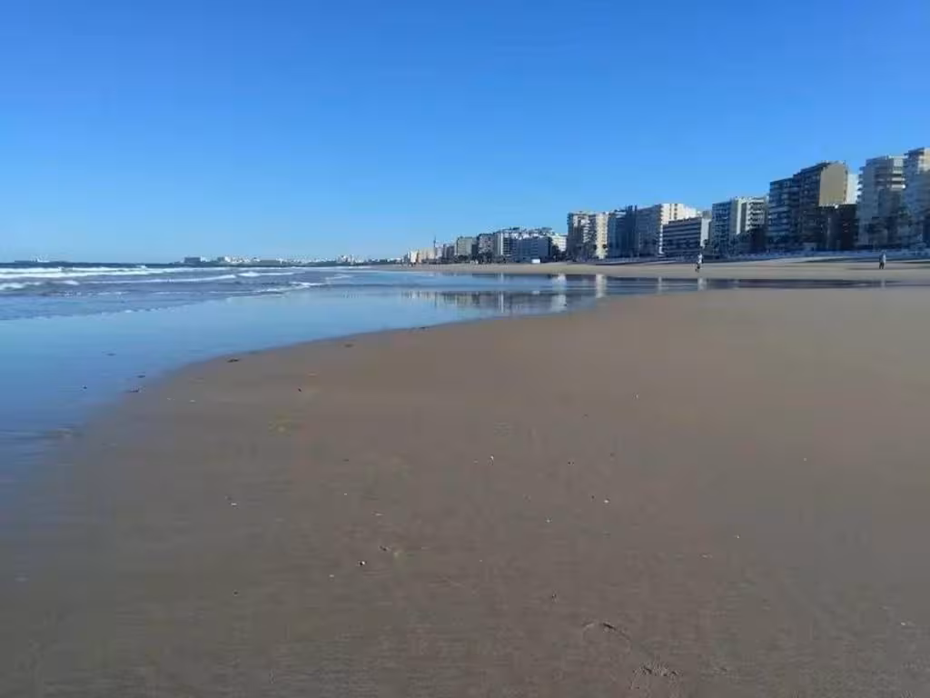 image url