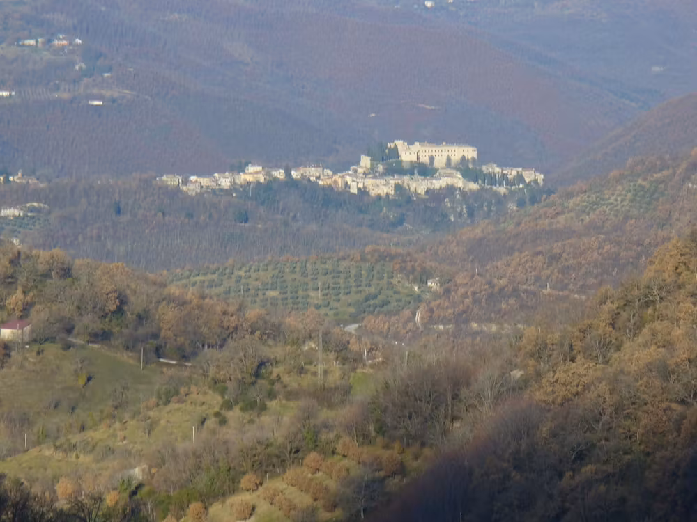 image url