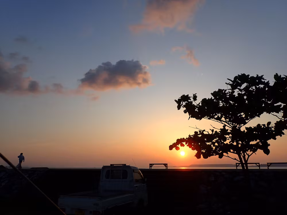 image url