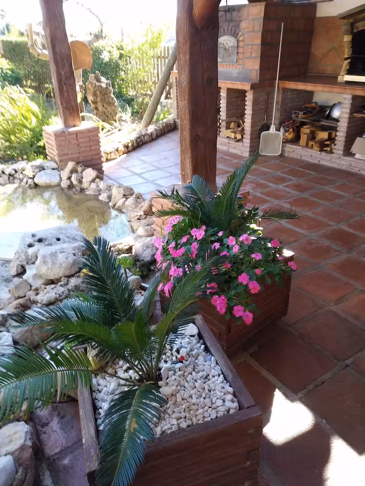 image url