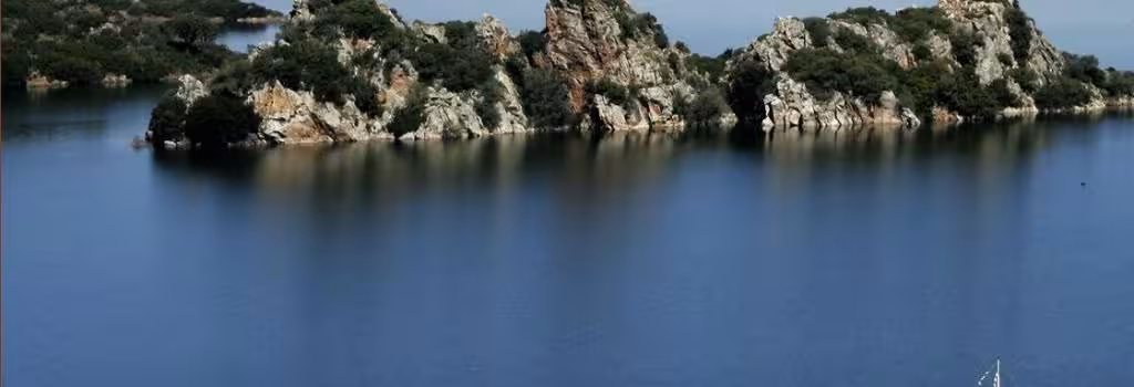 image url